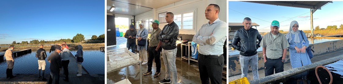 Actu_XPO_2025_Txt4 Actu_XPO_2025_Txt4