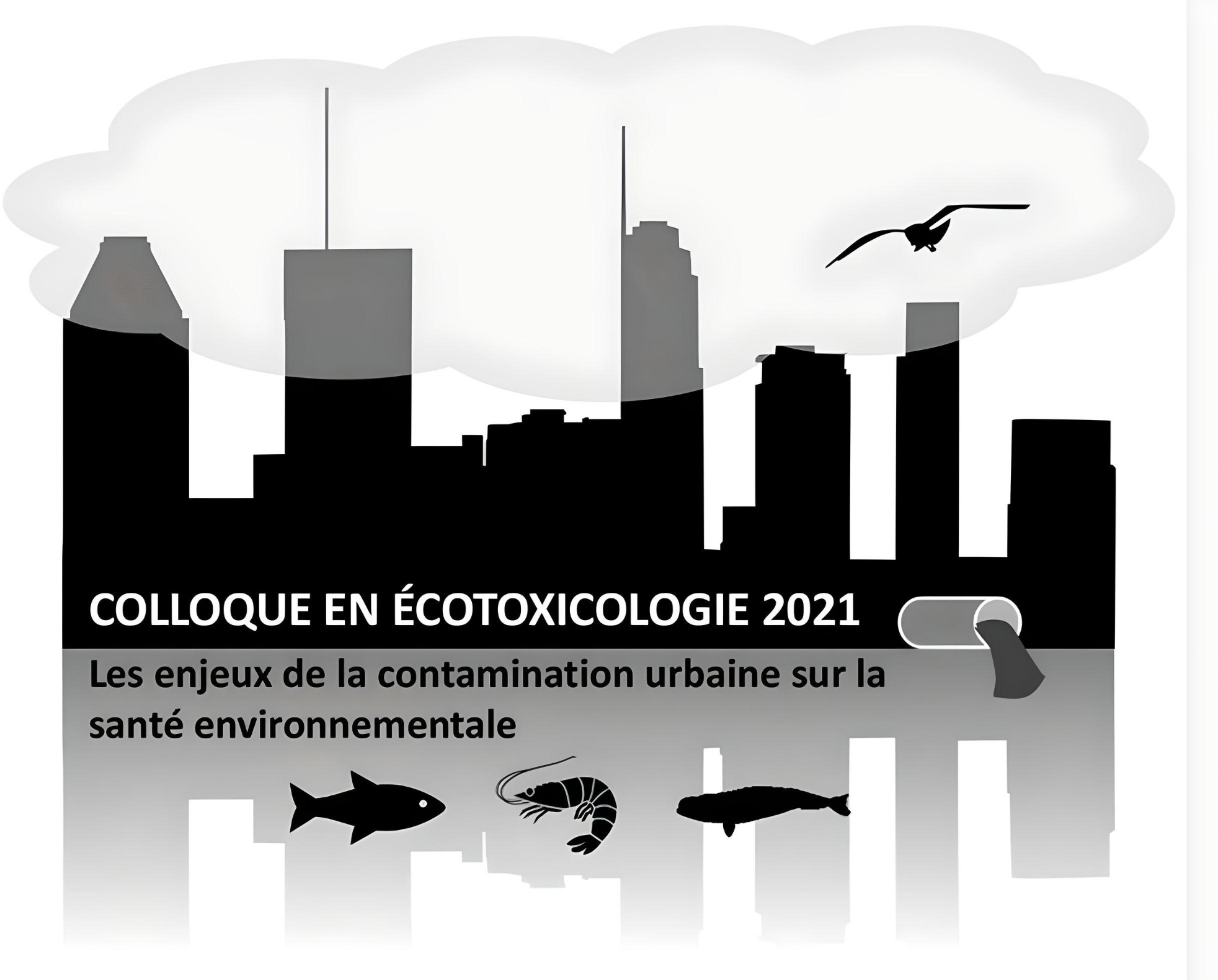 Visuel du colloque en écotoxicologie 2021