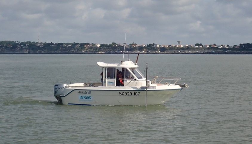 ouestu_2025