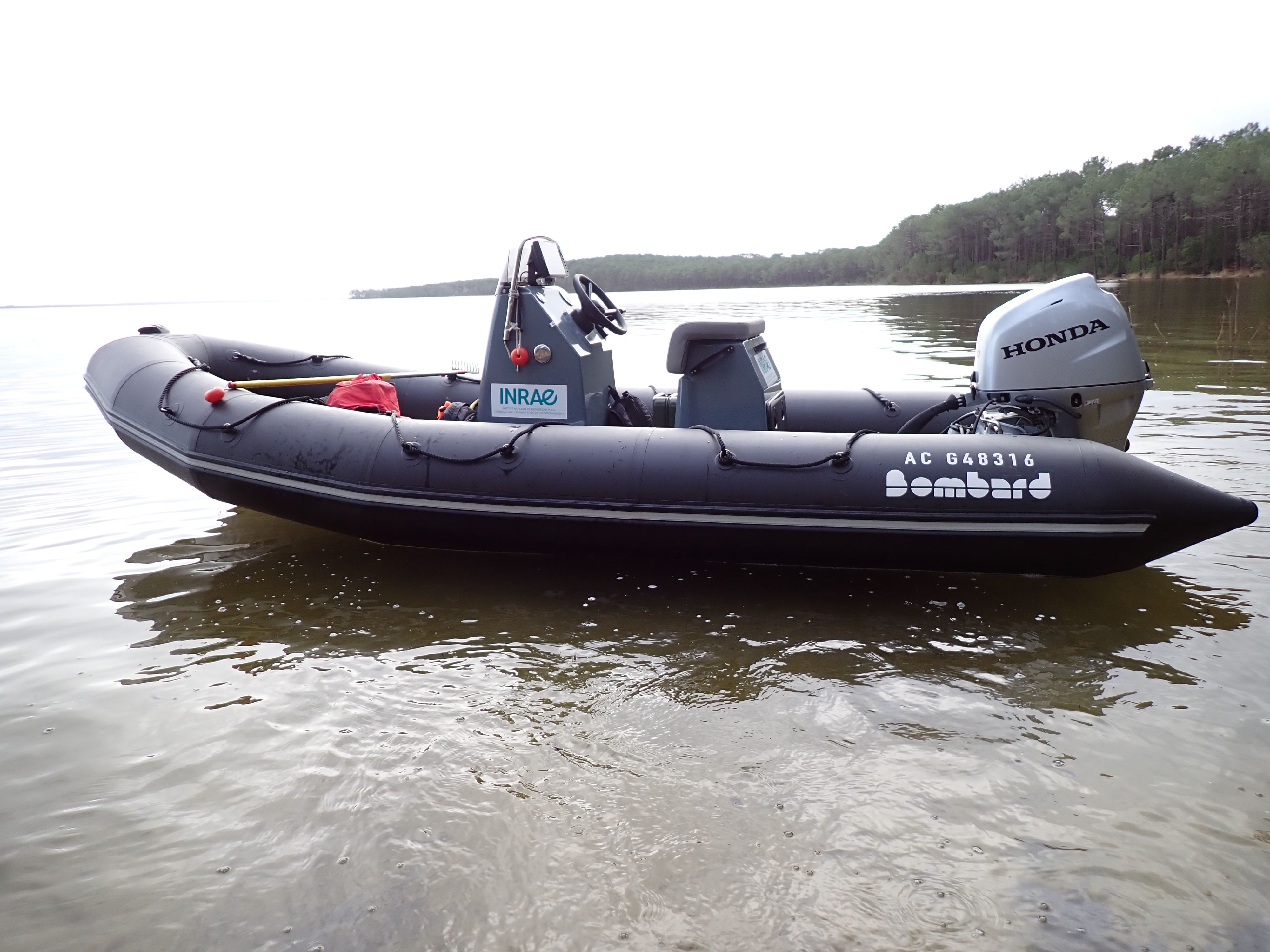 torpedo