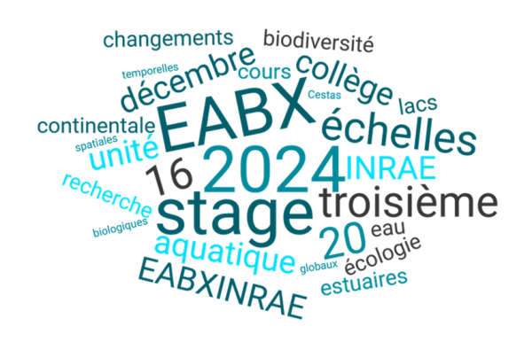 2024_Stage3eme
