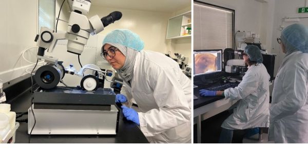 Actu_XPO_2025_Txt2 Actu_XPO_2025_Txt2